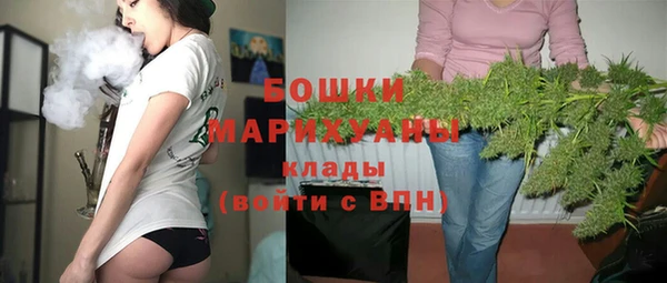 ECSTASY Богородицк