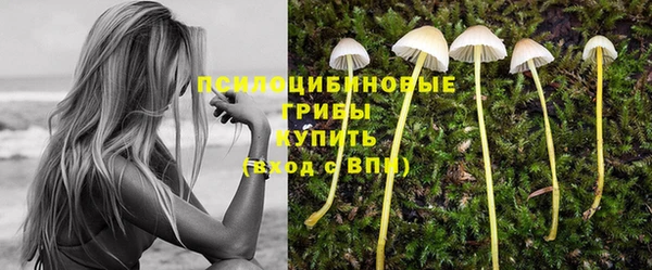 ECSTASY Богородицк