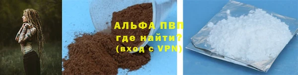 ГАЛЛЮЦИНОГЕННЫЕ ГРИБЫ Белокуриха