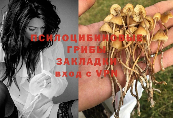 первитин Верхний Тагил